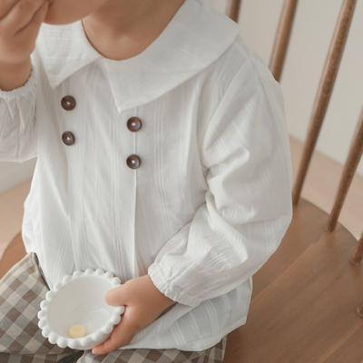 big collar balloon sleeve blouse